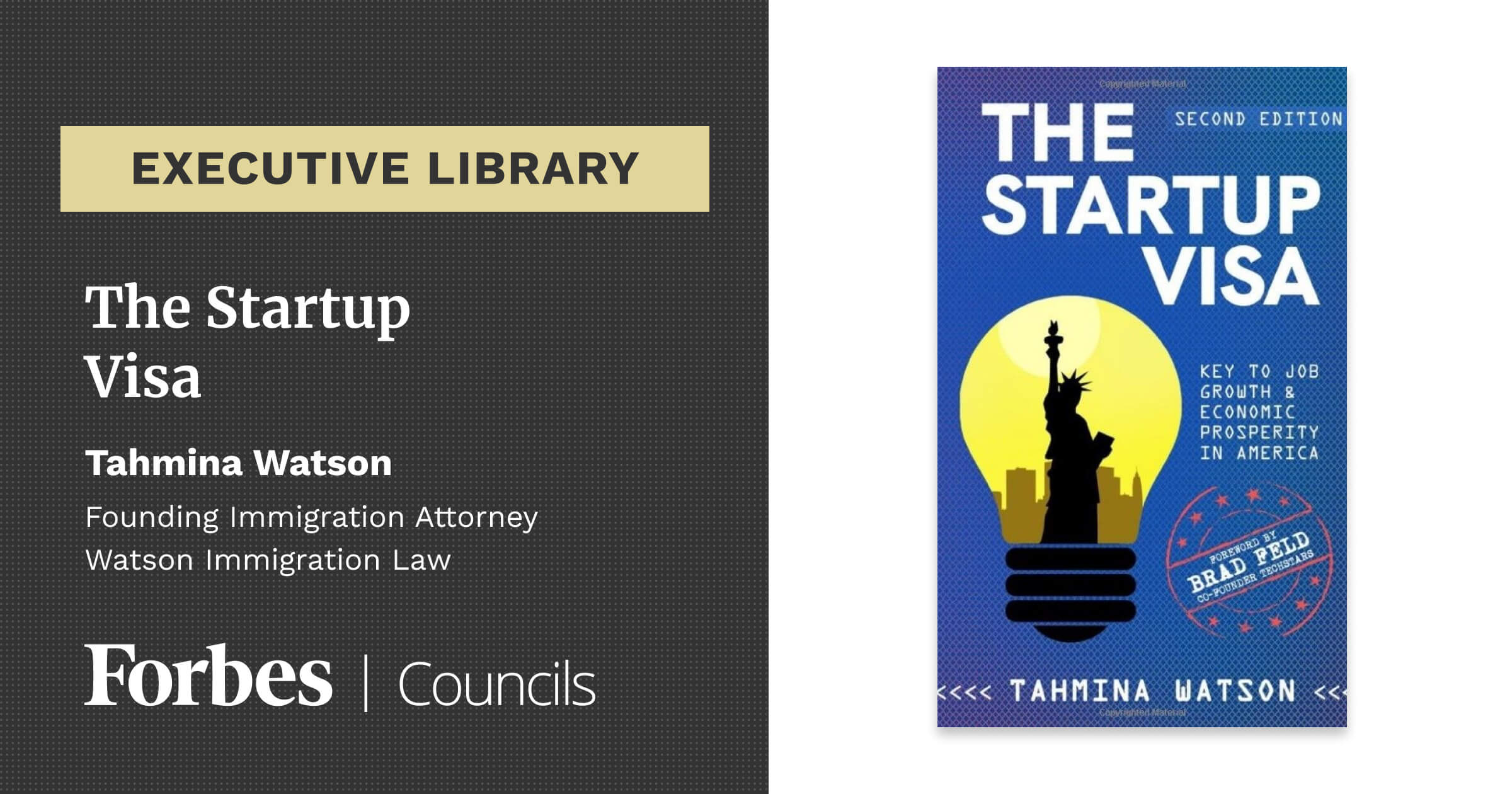 The Startup Visa by Tahmina Watson cover image