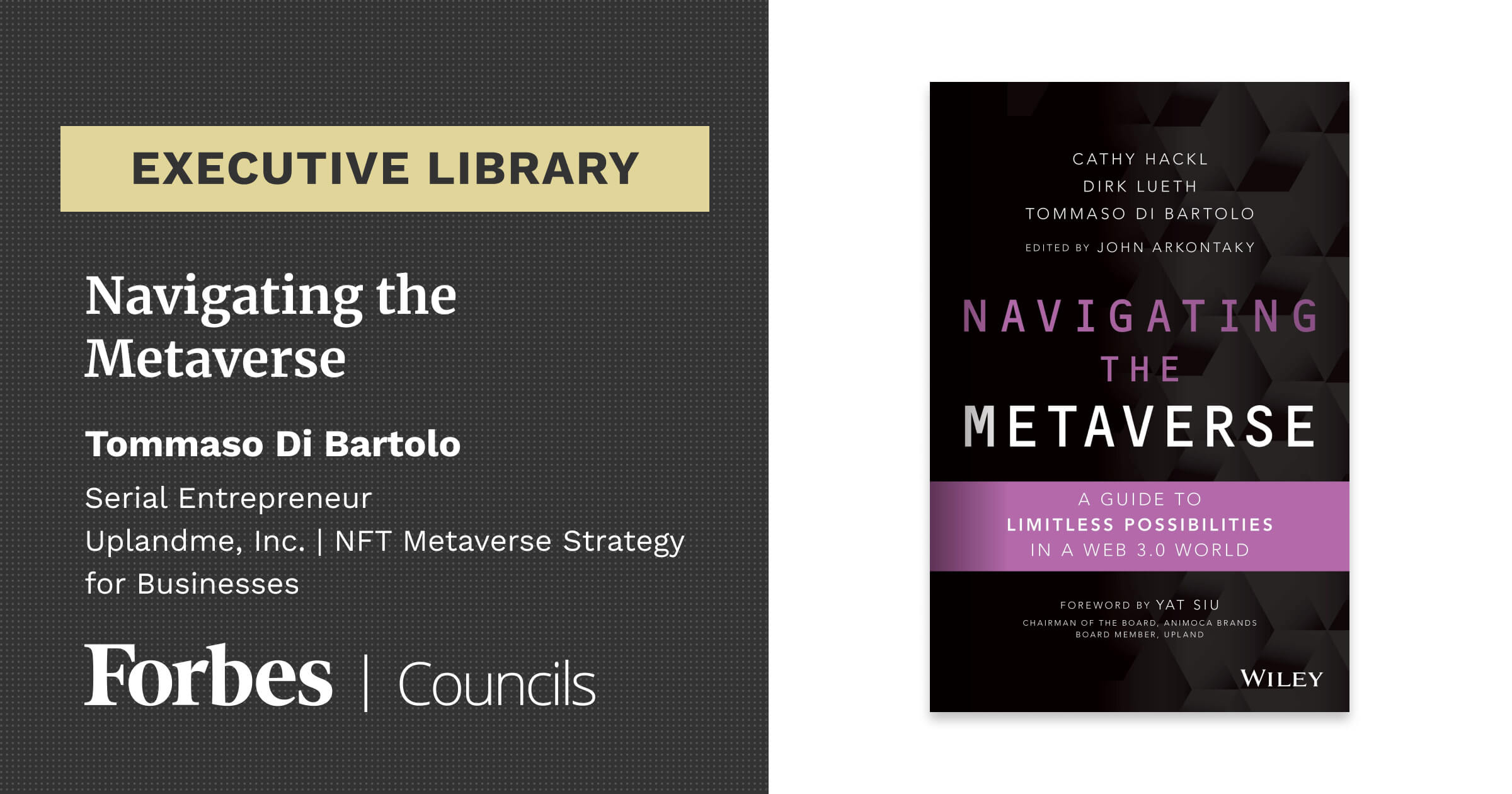 Navigating the Metaverse by Tommaso Di Bartolo